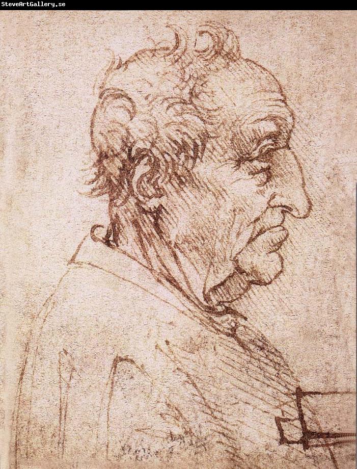 LEONARDO da Vinci Profile of an old man